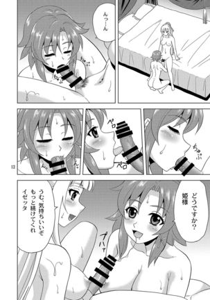 Hime-sama no Tame ni - Page 11