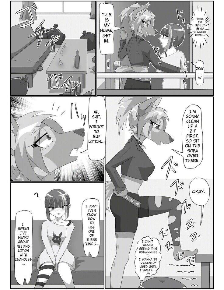 Hyena Nee-san to Onahole-chan