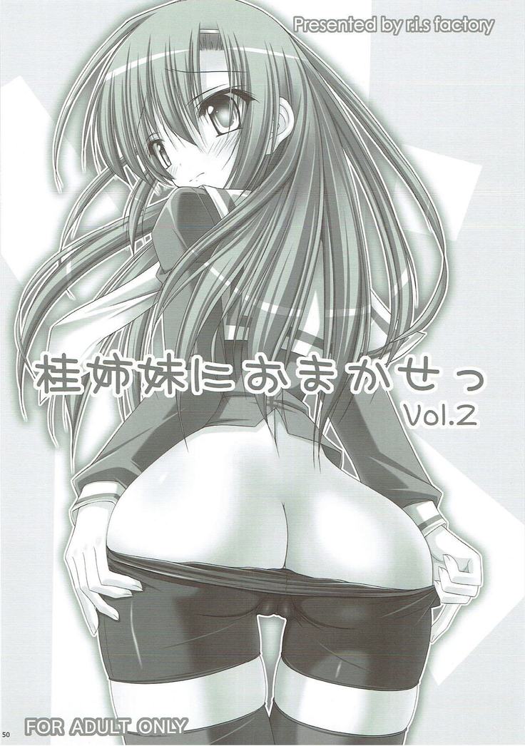 r.i.s archive 1 -ハヤテ本総集編-