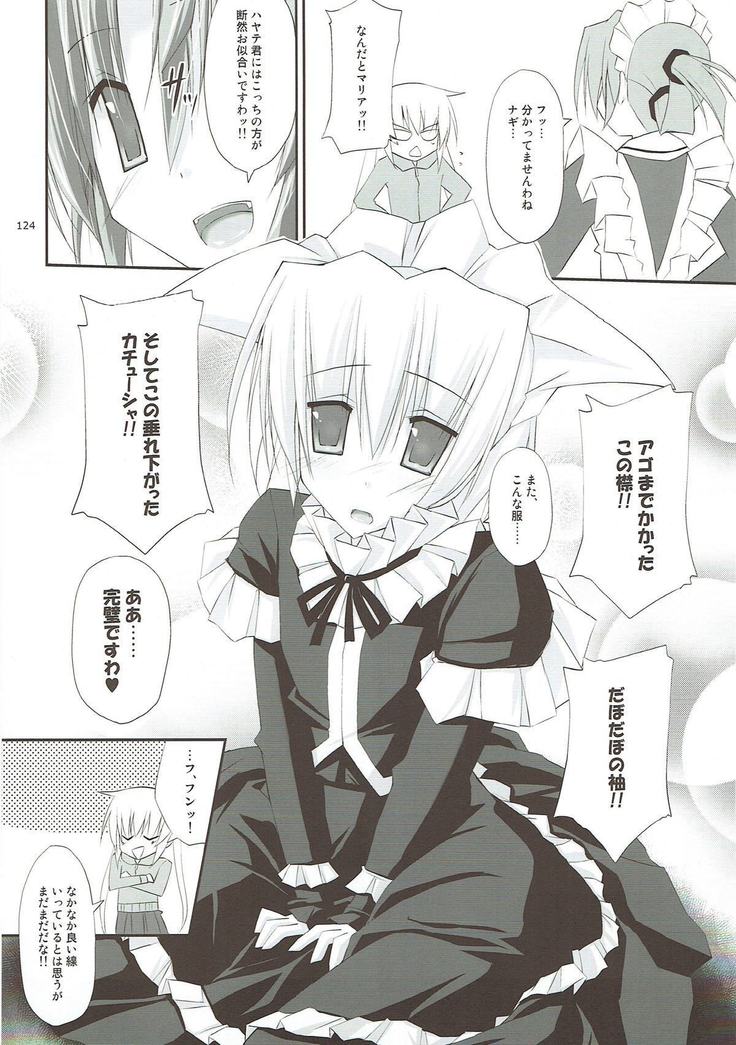 r.i.s archive 1 -ハヤテ本総集編-