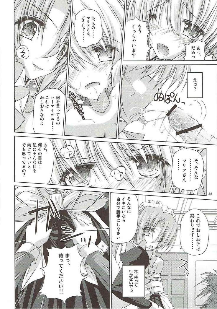 r.i.s archive 1 -ハヤテ本総集編-