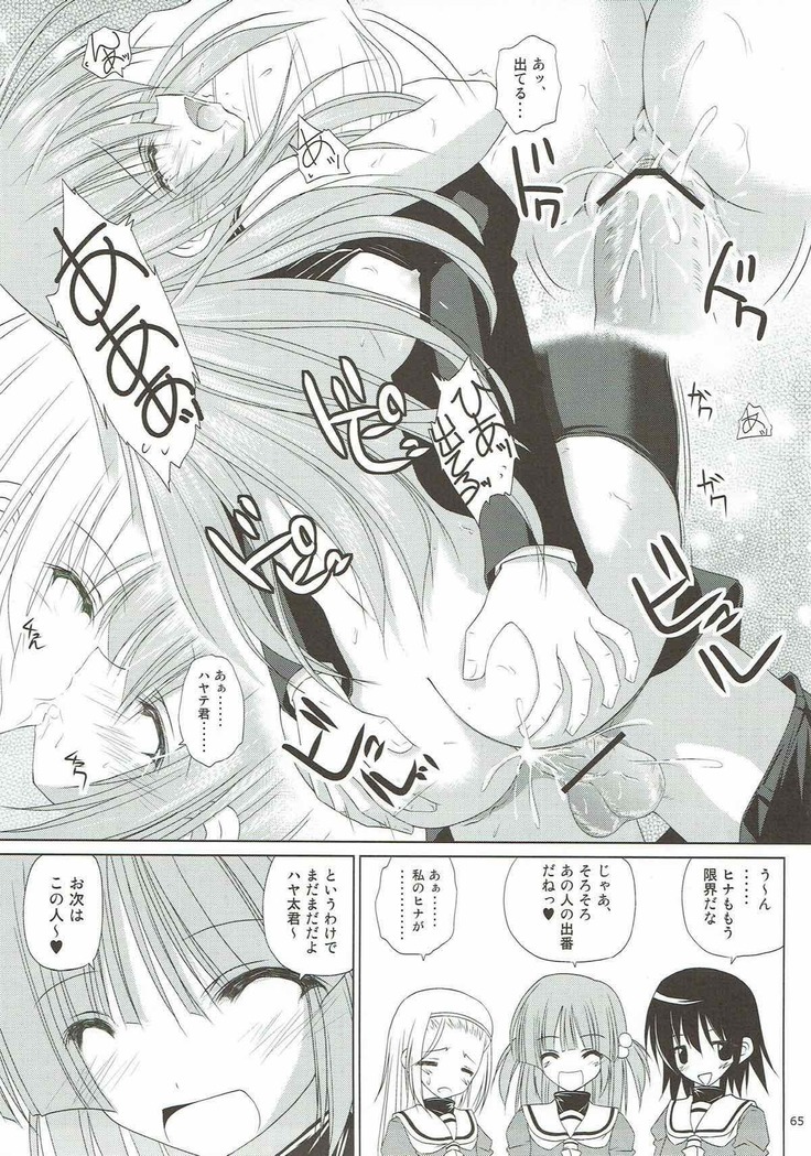 r.i.s archive 1 -ハヤテ本総集編-