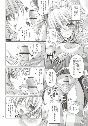 r.i.s archive 1 -ハヤテ本総集編- Page #32