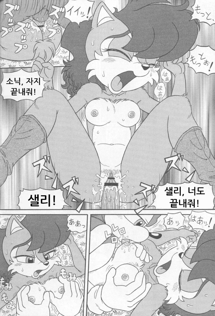 Furry Bomb #1
