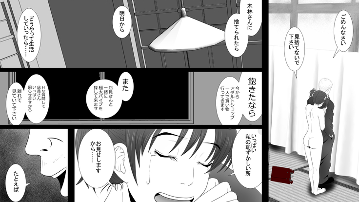 Kane o Haraeba Tsuma no Ana wa Dare demo Tsukaeru