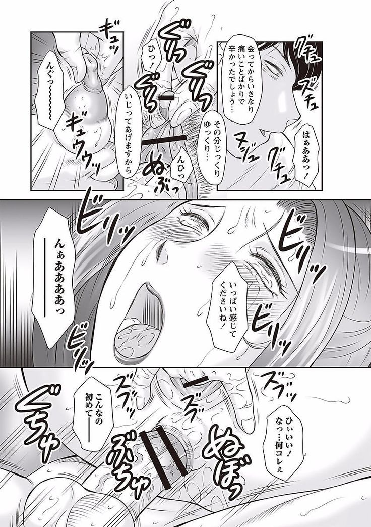 Midaragami Seinaru Jukujo ga Mesubuta Ika no Nanika ni Ochiru made