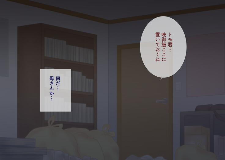 Mama wa Hikikomori Musuko no Seishori Gakari