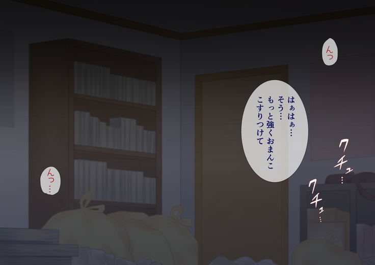 Mama wa Hikikomori Musuko no Seishori Gakari