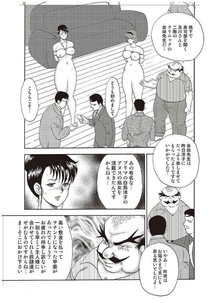 Maihime Chigoku no Ori Vol.4