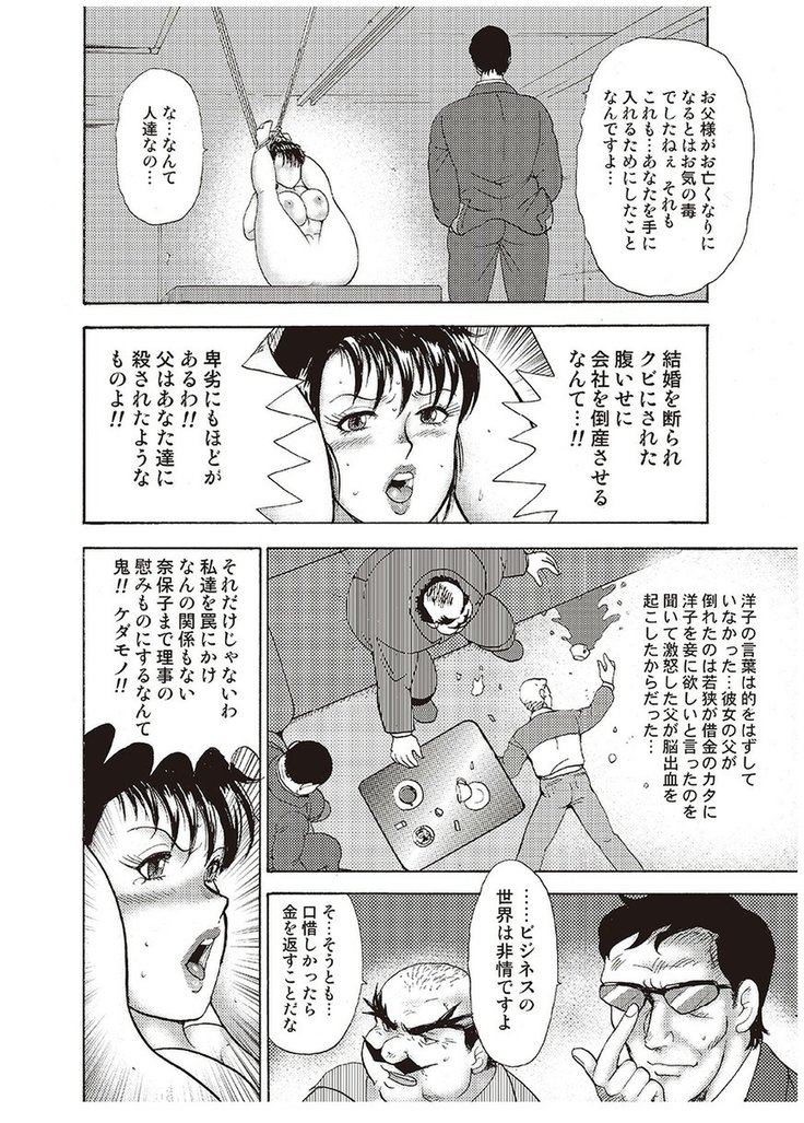 Maihime Chigoku no Ori Vol.4