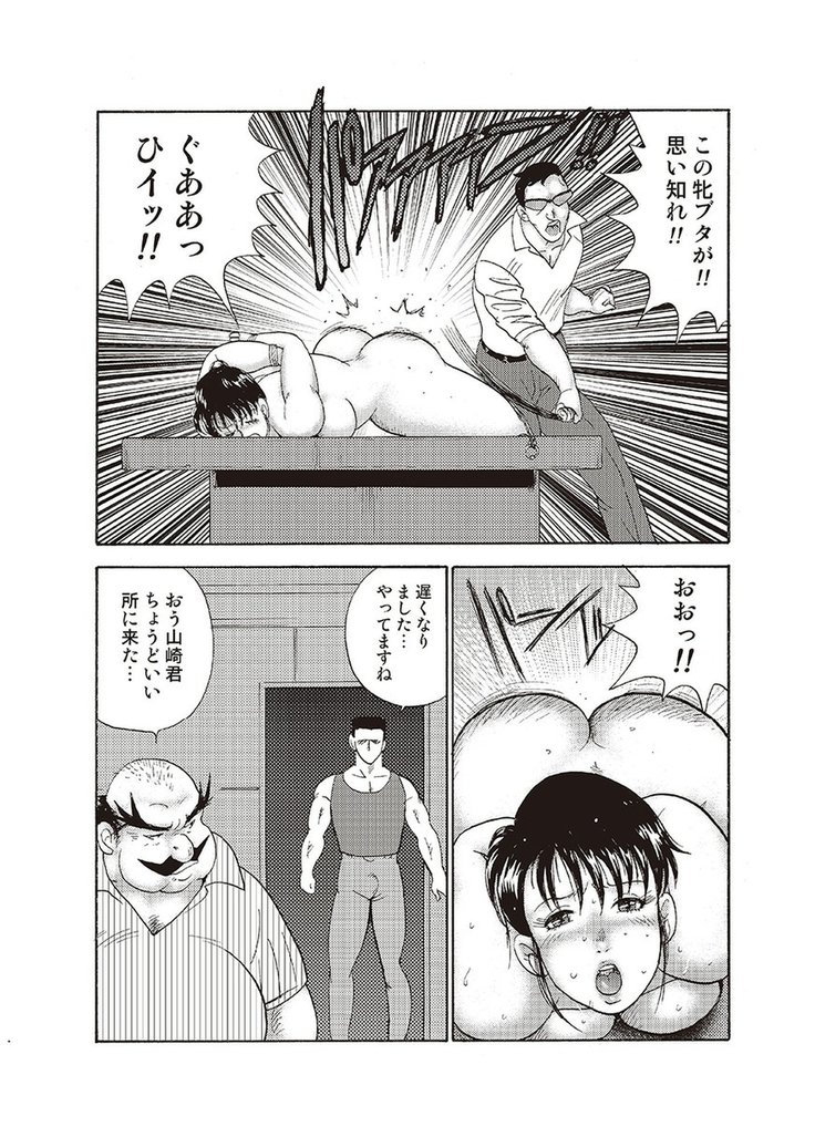 Maihime Chigoku no Ori Vol.4