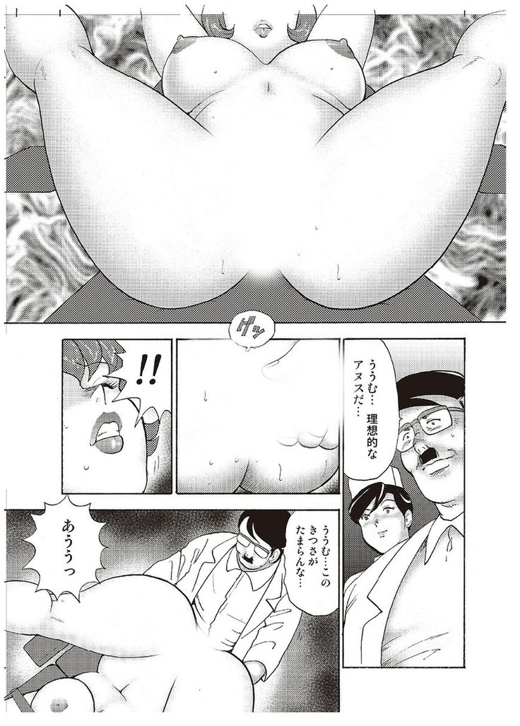 Maihime Chigoku no Ori Vol.4