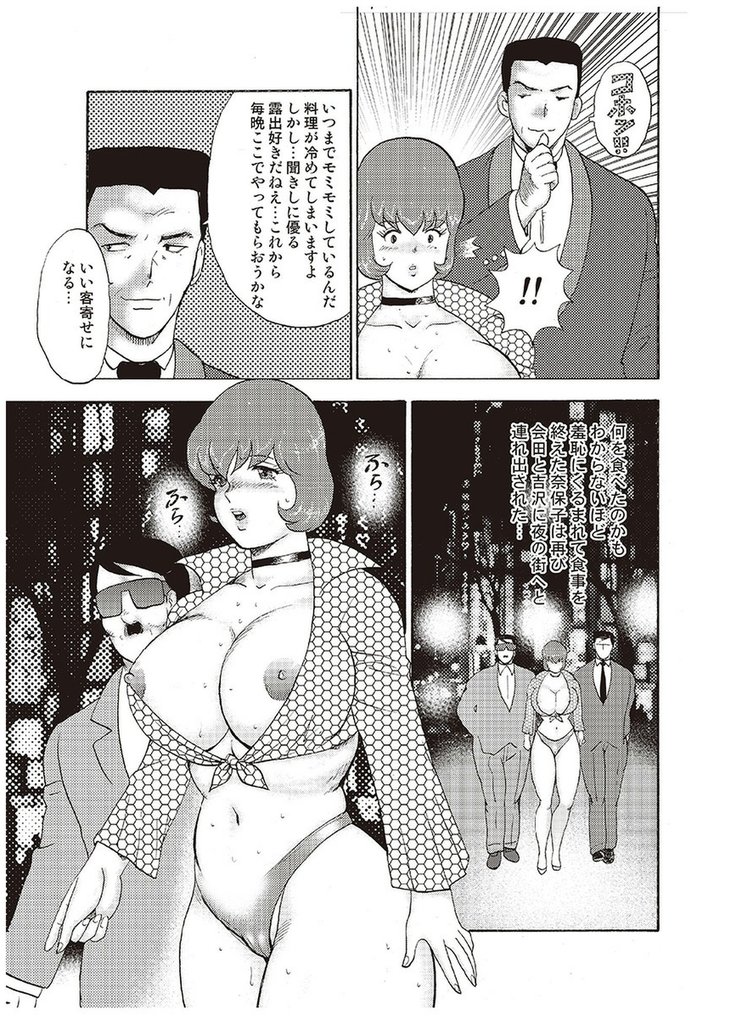 Maihime Chigoku no Ori Vol.4