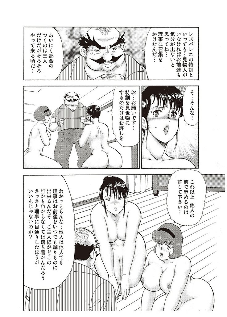 Maihime Chigoku no Ori Vol.4