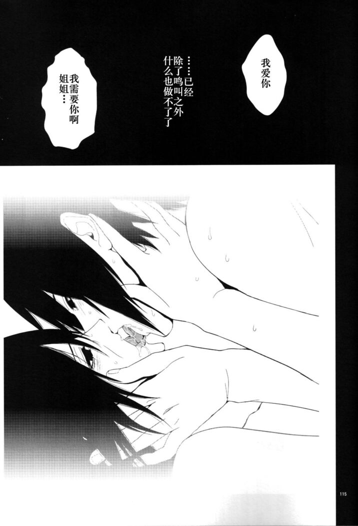 狂い蝉