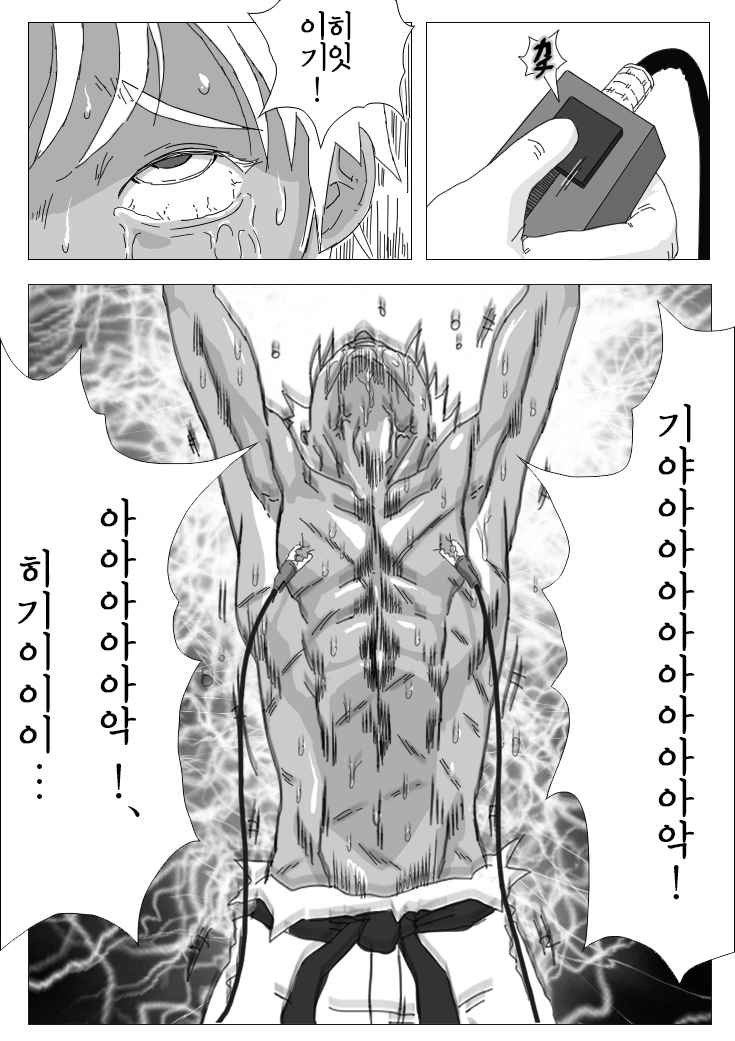 Hikaruden