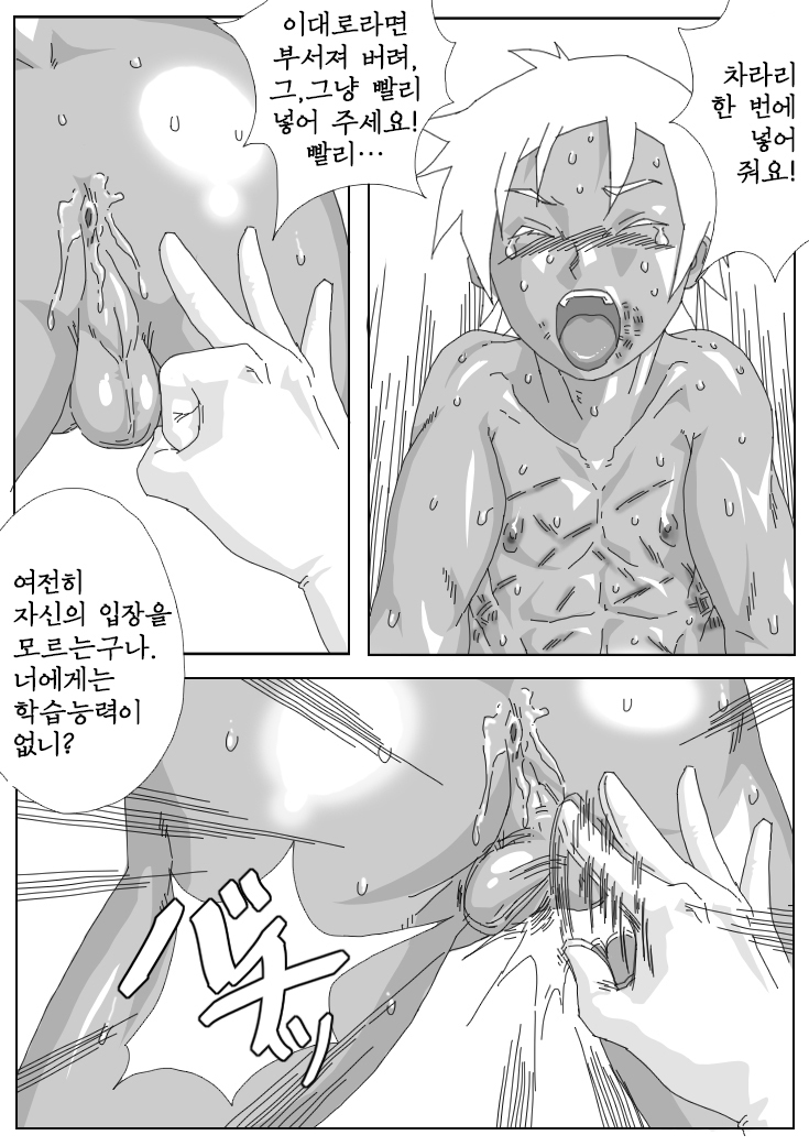 Hikaruden