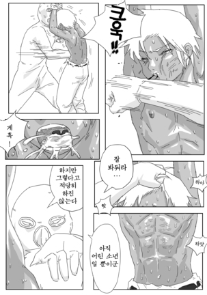 Hikaruden