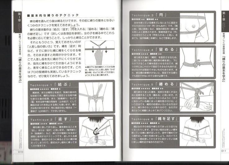 Now you can do it! Illustrated Tied How to Manual