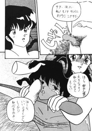 Plum Fantasy Page #14