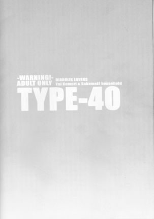 TYPE-40 Page #22