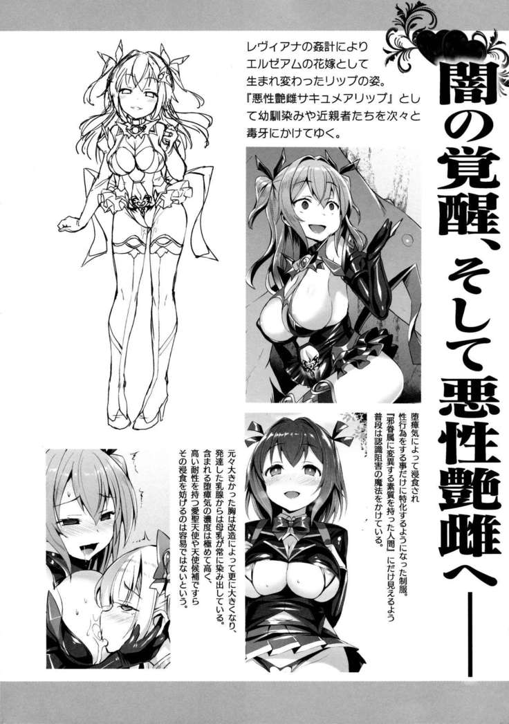 愛聖天使ラブメアリー ～悪性受胎～ メロンブックス購入特典おまけ本