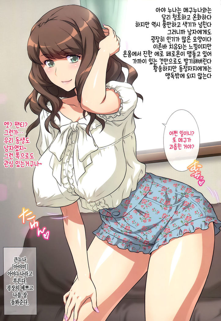 Yorokobi no Kuni Vol. 26 Ecchi na Onee-chan ni Shiboraretai