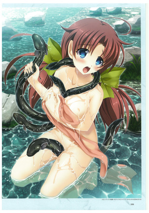 戦国†恋姫 ～乙女絢爛☆戦国絵巻～ ビジュアルファンブック-2 - Page 39