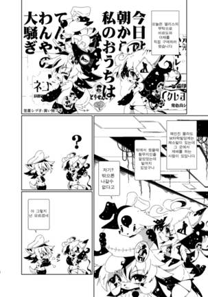 Image 3133053