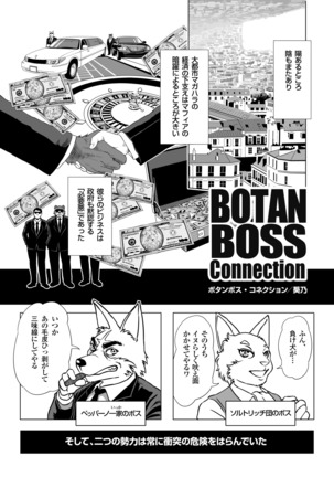 Botan Boss Connection