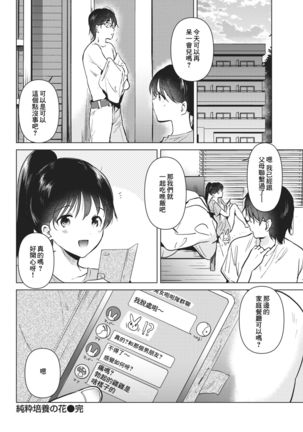 Junsui Baiyou no Hana Page #25