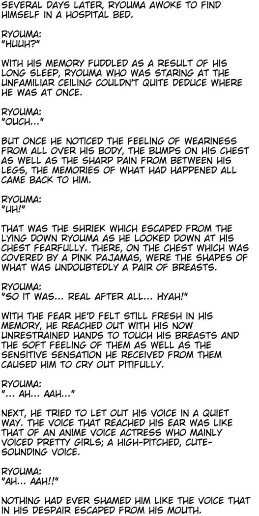 The M-to-F'ed son of a distinguished family - The spoiled rotten brat who was made a maid -