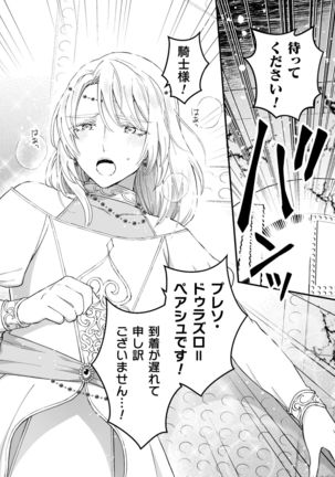 Otoko Kishi ga "Ku, Korose!" tte Iu kara Mesu Choukyou Shitemita Ch. 5 - Page 26