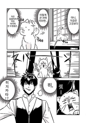 Image 9574751