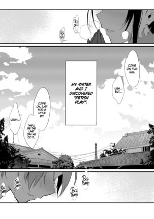Ane Naru Mono 8 | The Elder Sister-Like One 8  =The Lost Light + mrwayne=