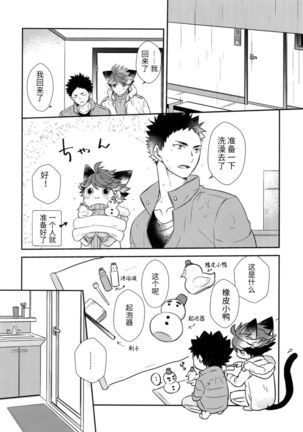 我想成为小岩的猫5I want to become Iwa-chan's Cat! 5 Page #16