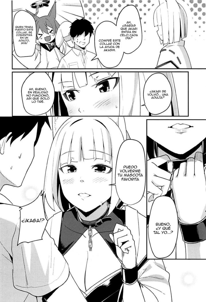 Pet na Kaga