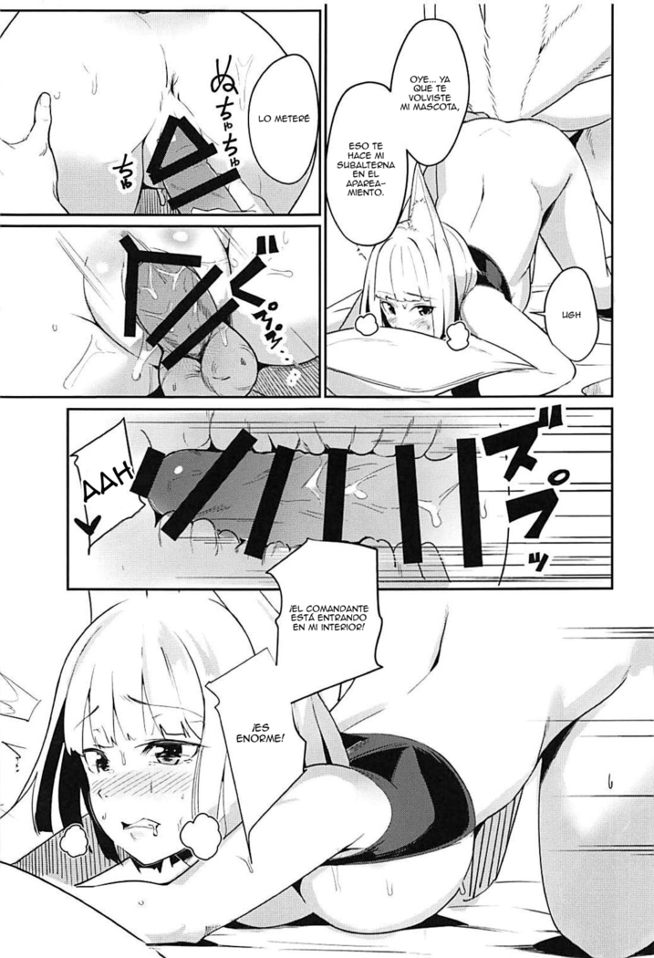 Pet na Kaga