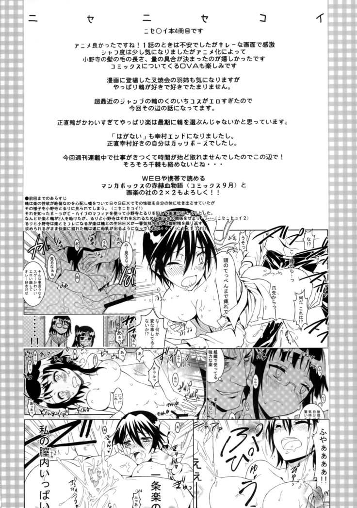 Nisenisekoi 4