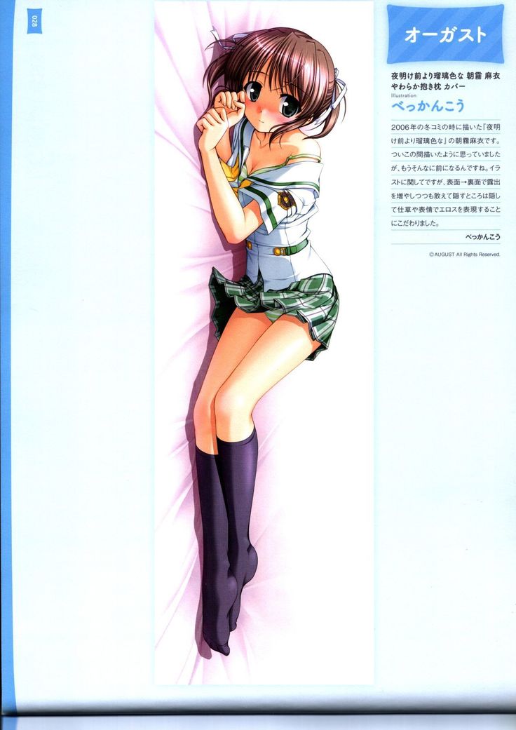 Dakimakura Cover Gashuu Bishoujo Game Hen