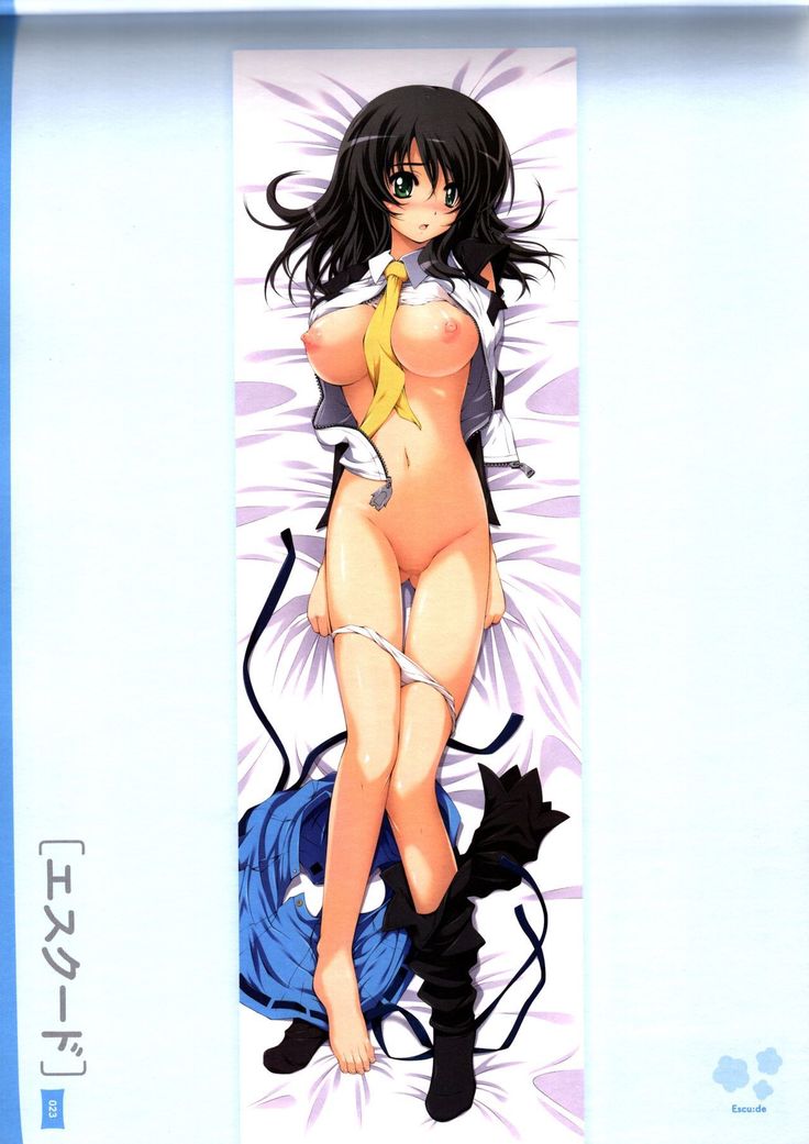Dakimakura Cover Gashuu Bishoujo Game Hen