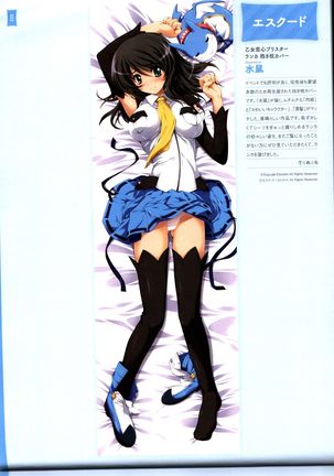 Dakimakura Cover Gashuu Bishoujo Game Hen Page #26
