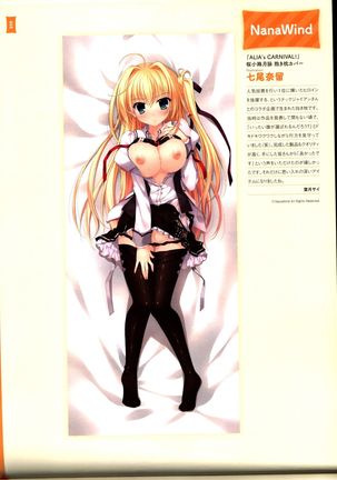 Dakimakura Cover Gashuu Bishoujo Game Hen Page #62