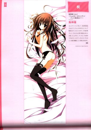 Dakimakura Cover Gashuu Bishoujo Game Hen Page #84