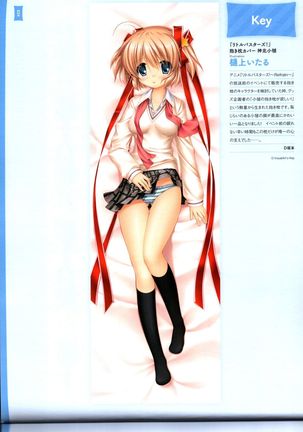 Dakimakura Cover Gashuu Bishoujo Game Hen Page #38