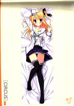 Dakimakura Cover Gashuu Bishoujo Game Hen - Page 45