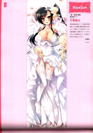 Dakimakura Cover Gashuu Bishoujo Game Hen Page #80