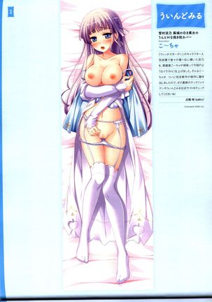 Dakimakura Cover Gashuu Bishoujo Game Hen Page #22