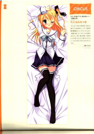Dakimakura Cover Gashuu Bishoujo Game Hen Page #44