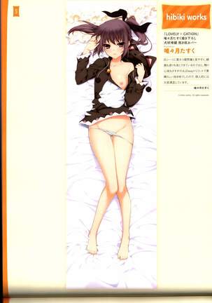 Dakimakura Cover Gashuu Bishoujo Game Hen Page #74